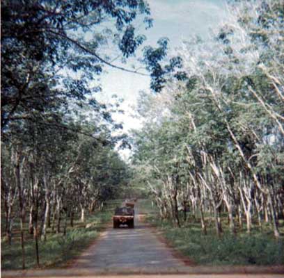 Hwy 13 between Lai Khe and Quon Loi | Veterans Of The First Engineer ...